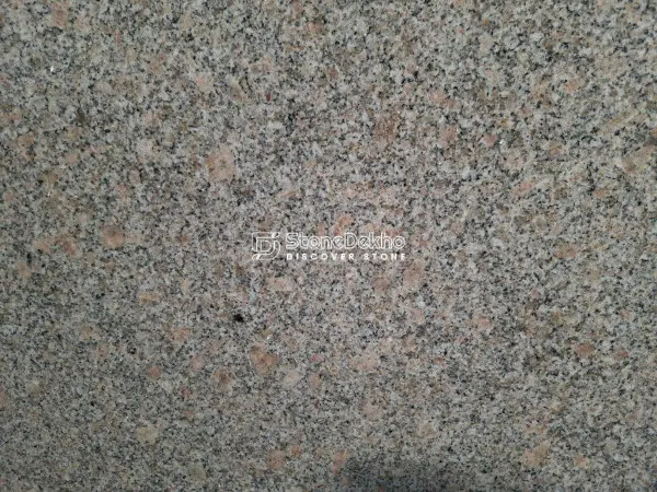 G D(J D) Brown Granite G D(J D) Brown Granite