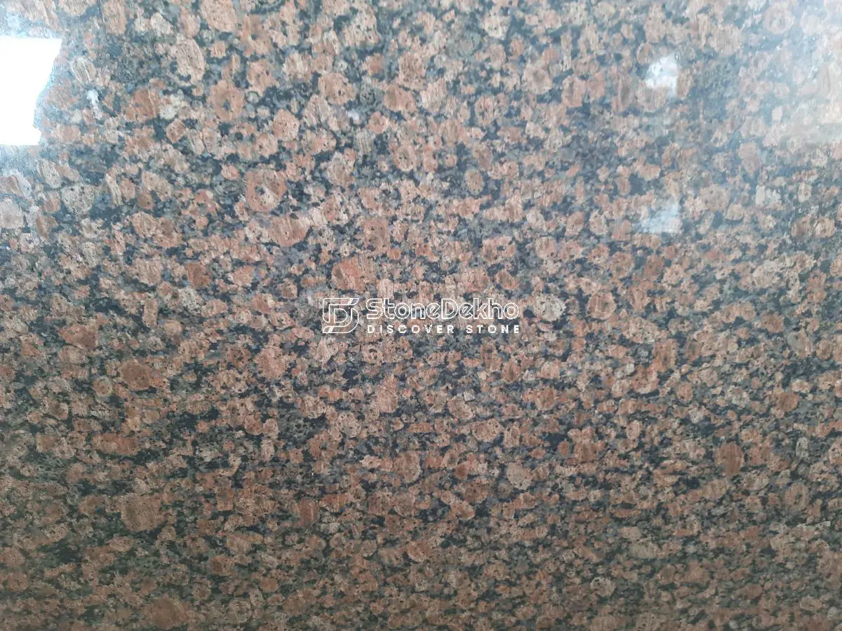 Safari Brown Granite Safari Brown Granite