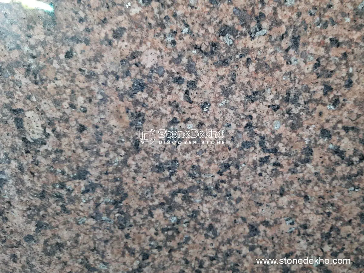 Chitrodi Brown Granite Chitrodi Brown Granite